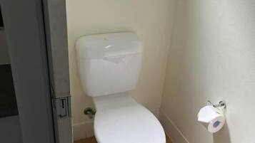 A small, compact bathroom with a white toilet, a wooden floor, and a wall-mounted toilet paper holder.