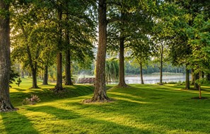 A park with a lake, trees, and a wooden bridge.