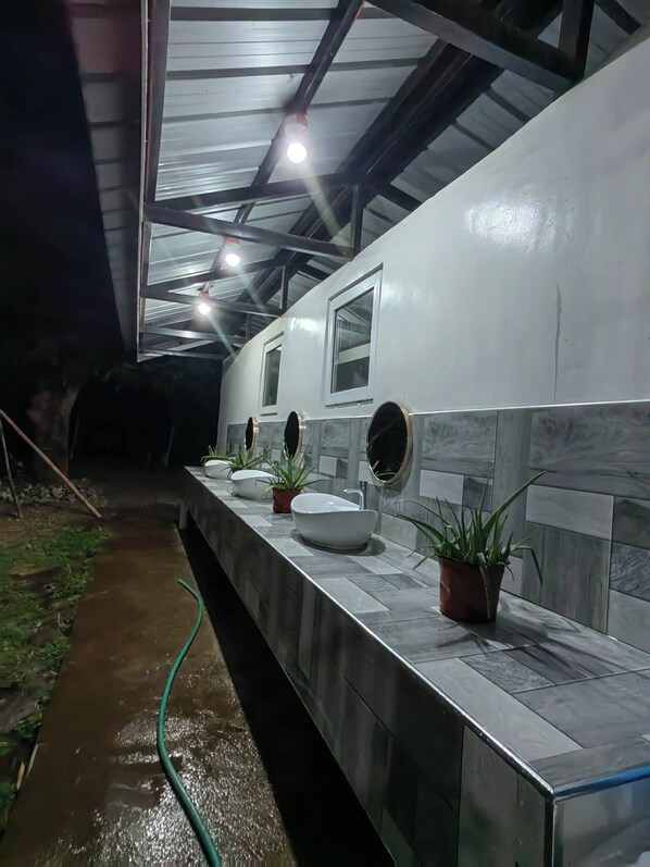 A bathroom with a white sink, a mirror, and potted plants.