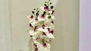 Ein Zimmer mit einer hohen Orchideenkomposition auf einem Tisch, einer kleinen Topfpflanze und einem Buch.