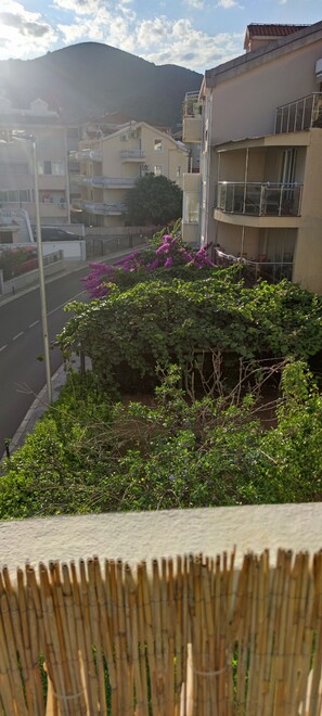 Ein Wohngebiet mit Gebäuden, einer Straße und einem Berg im Hintergrund.