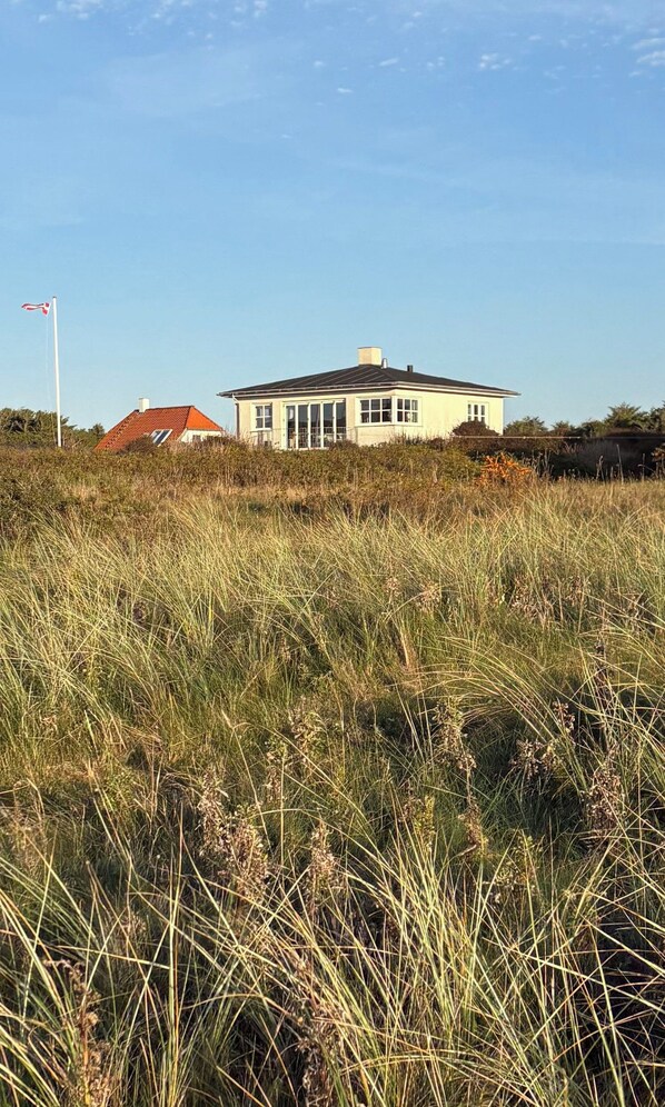 A house with a large windowed front section, surrounded by tall grass.