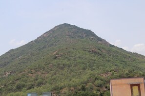 Ein Berg mit Spitze, umgeben von viel Grün.