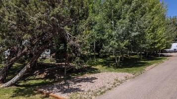 Un chemin de gravier longe une rangée d’arbres, et un arbre abattu se trouve au premier plan.