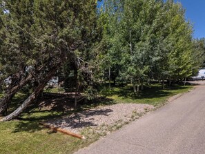 A gravel path alongside a row of trees with a fallen tree in the foreground.