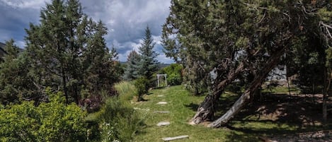 Un sendero atraviesa un área boscosa con un pabellón y escalones de piedra.
