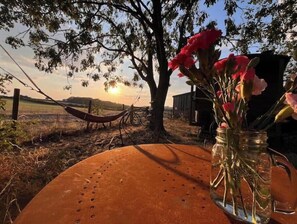 En hyggelig udendørs scene med et bord, en hængekøje og et glas med blomster.