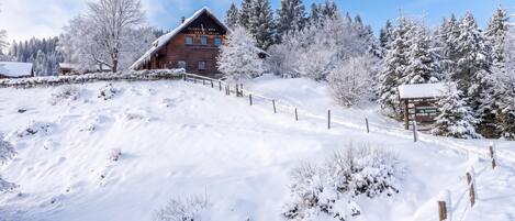 Una cabaña de madera con techo inclinado, rodeada de árboles cubiertos de nieve y un cielo despejado.
