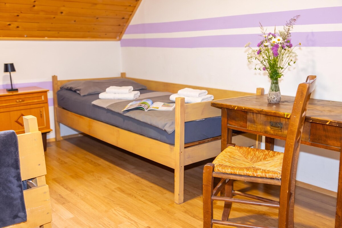 شقة إستديو عائلية - منظر للجبل - بالقرب من الجبل (Goška Ravan Twin Room near Bled)