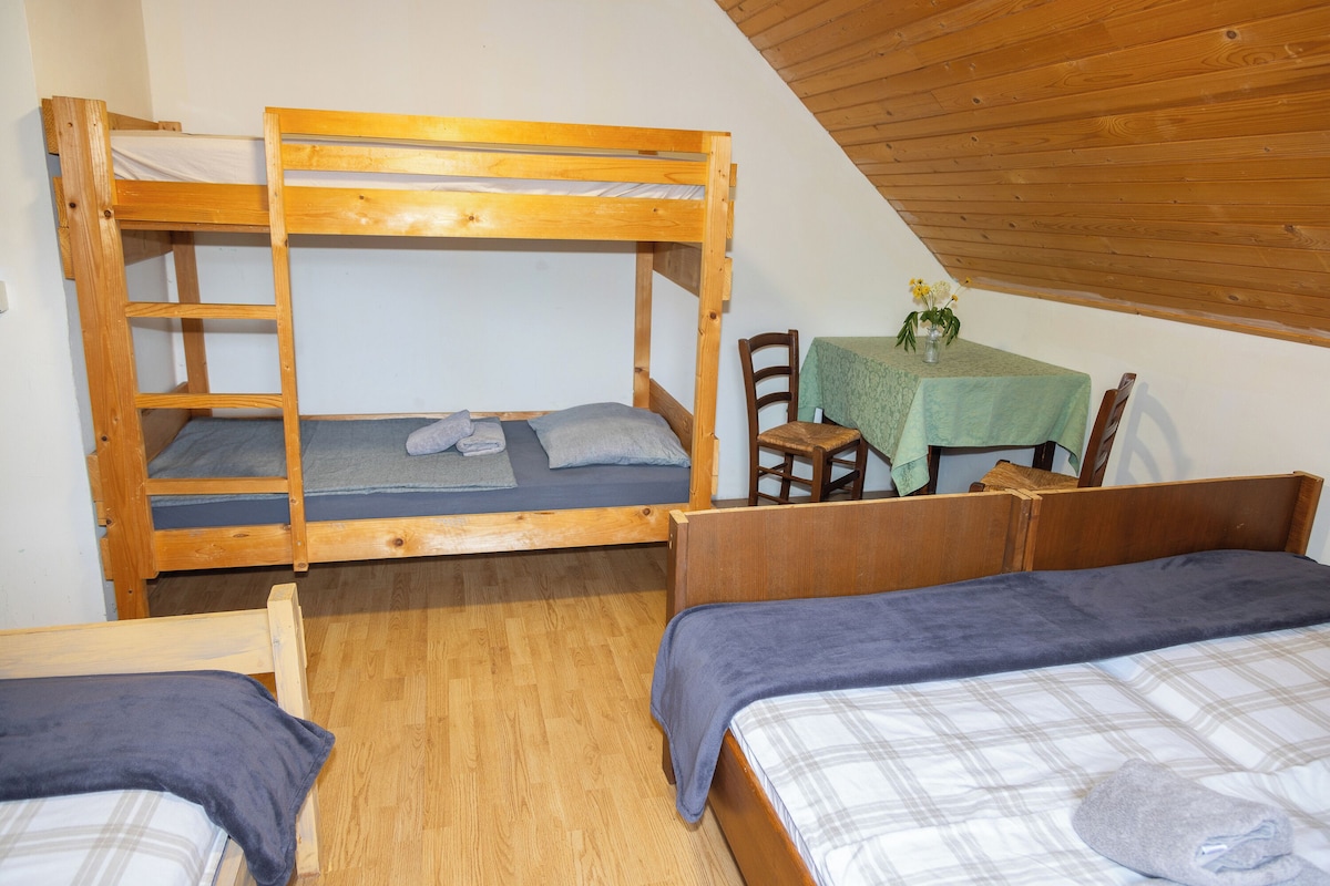 Family Studio, Mountain View, Mountainside (Goška Ravan Family Room near Bled)