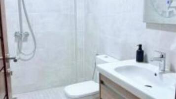 Douche, sèche-cheveux, serviettes fournies, papier toilette