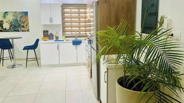 A modern kitchen with white cabinets, a wooden accent wall, and a potted plant.