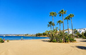 Ein Strand mit Palmen, blauem Himmel und ruhiger See.