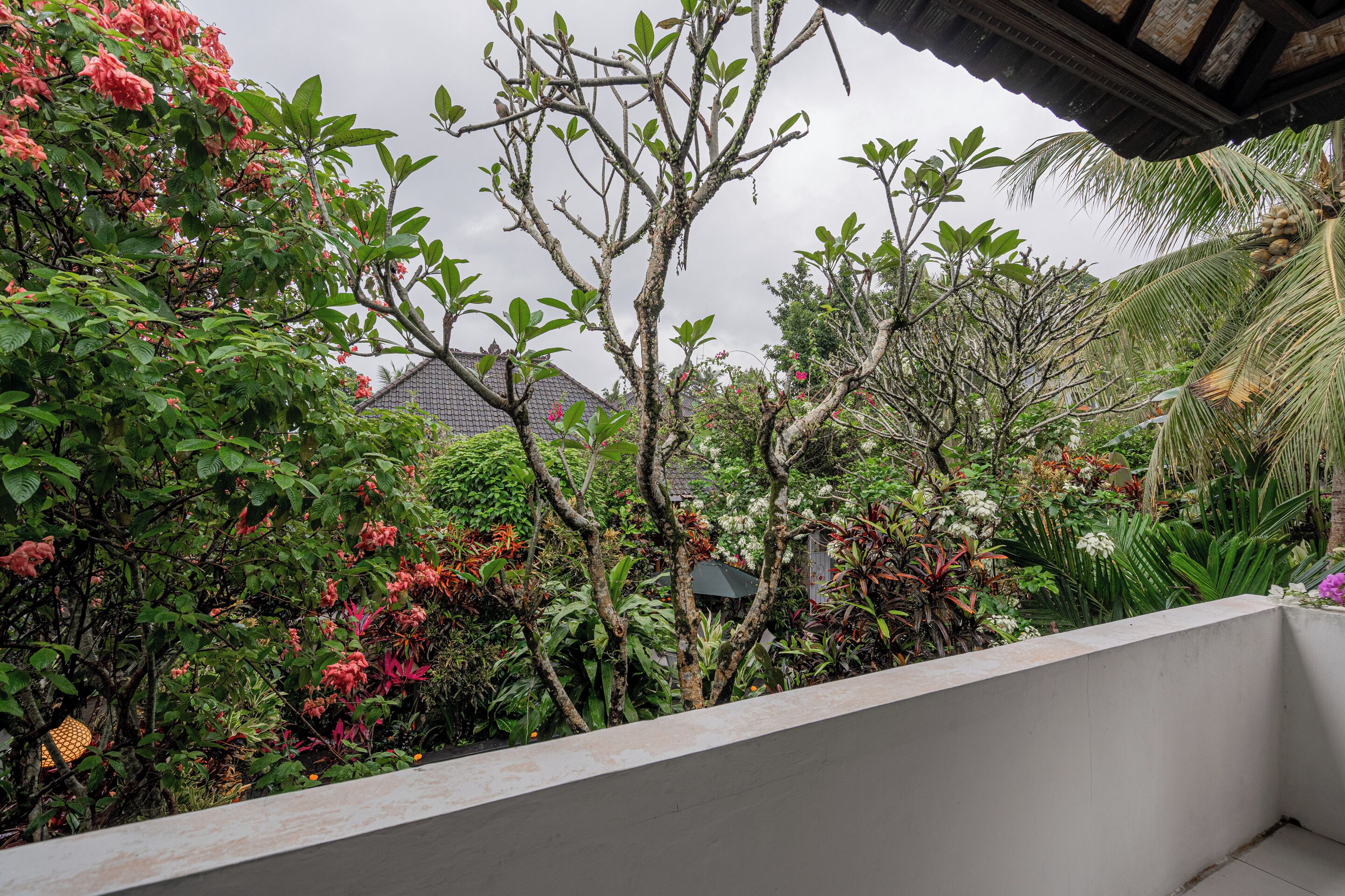 Un balcón con vistas a un jardín exuberante, una casa con techo de tejas y una palmera.