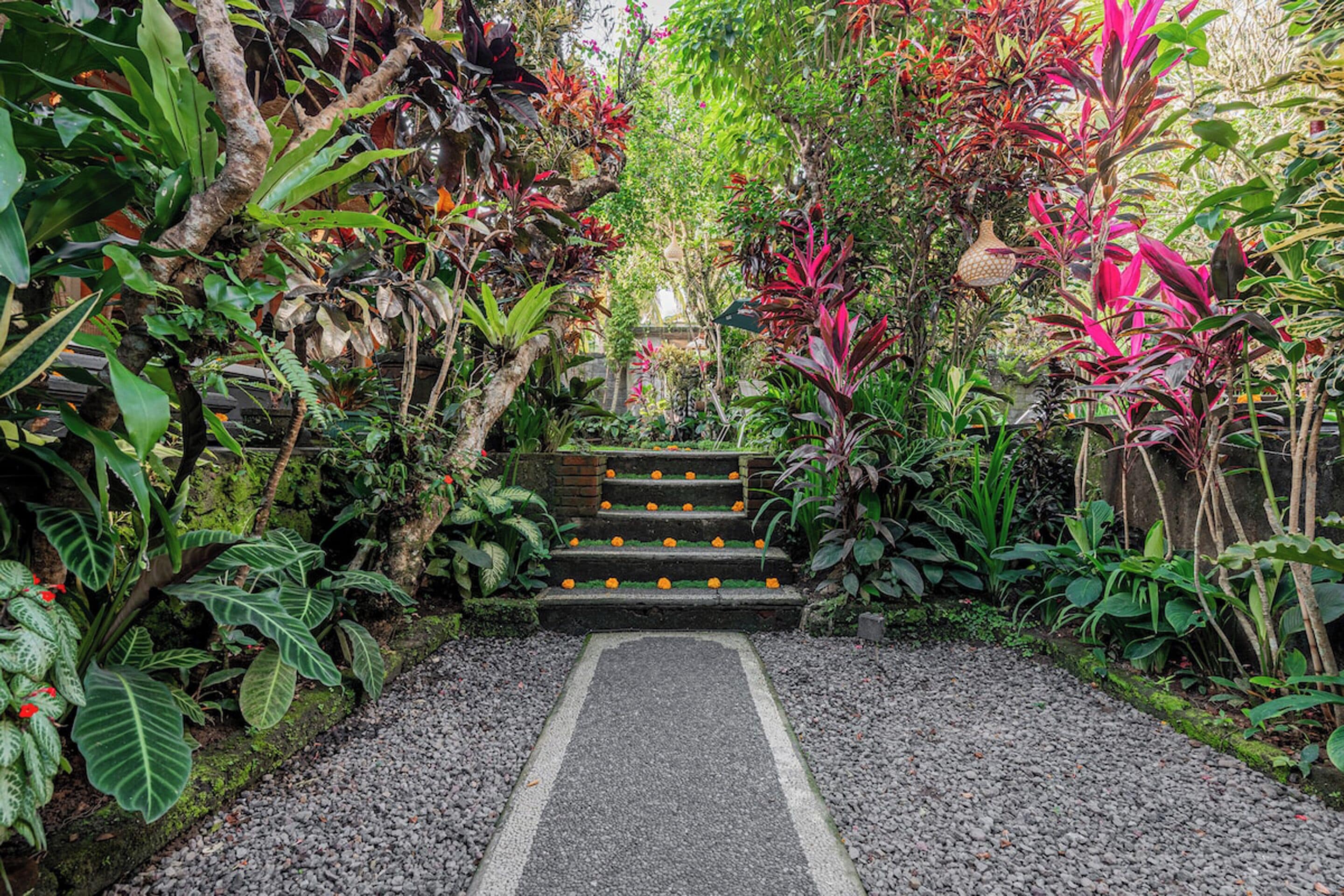 Un sendero en un jardín que lleva a una escalera, rodeada de exuberante vegetación y plantas tropicales.
