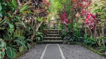 Un sendero en un jardín que lleva a una escalera, rodeada de exuberante vegetación y plantas tropicales.