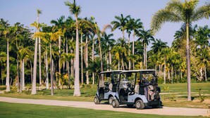Golfiauton voi nähdä polulla, jonka taustalla kohoavat palmuja.