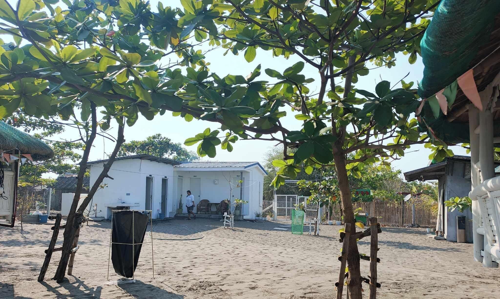 Une cour sablonneuse avec un bâtiment blanc, un espace abrité et un arbre.