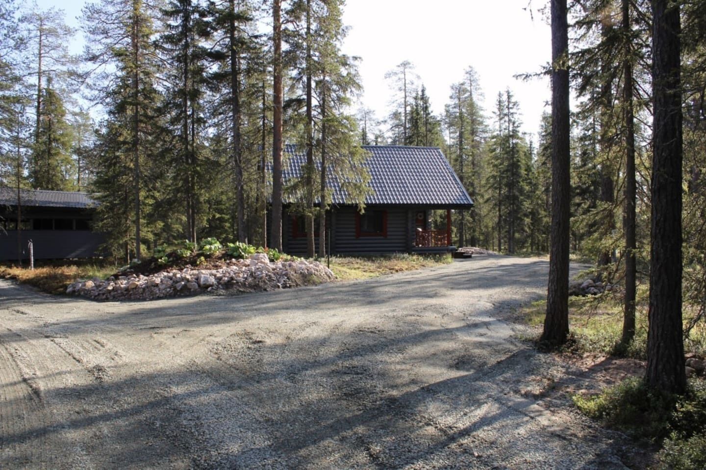 A cabin with a gravel driveway, surrounded by tall trees.