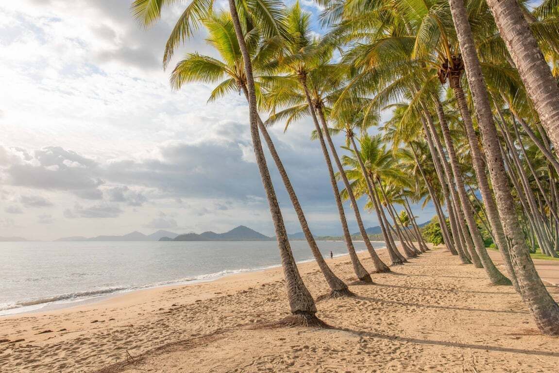 A beach with a row of palm trees and a calm sea.