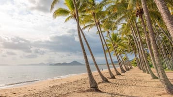 A beach with a row of palm trees and a calm sea.