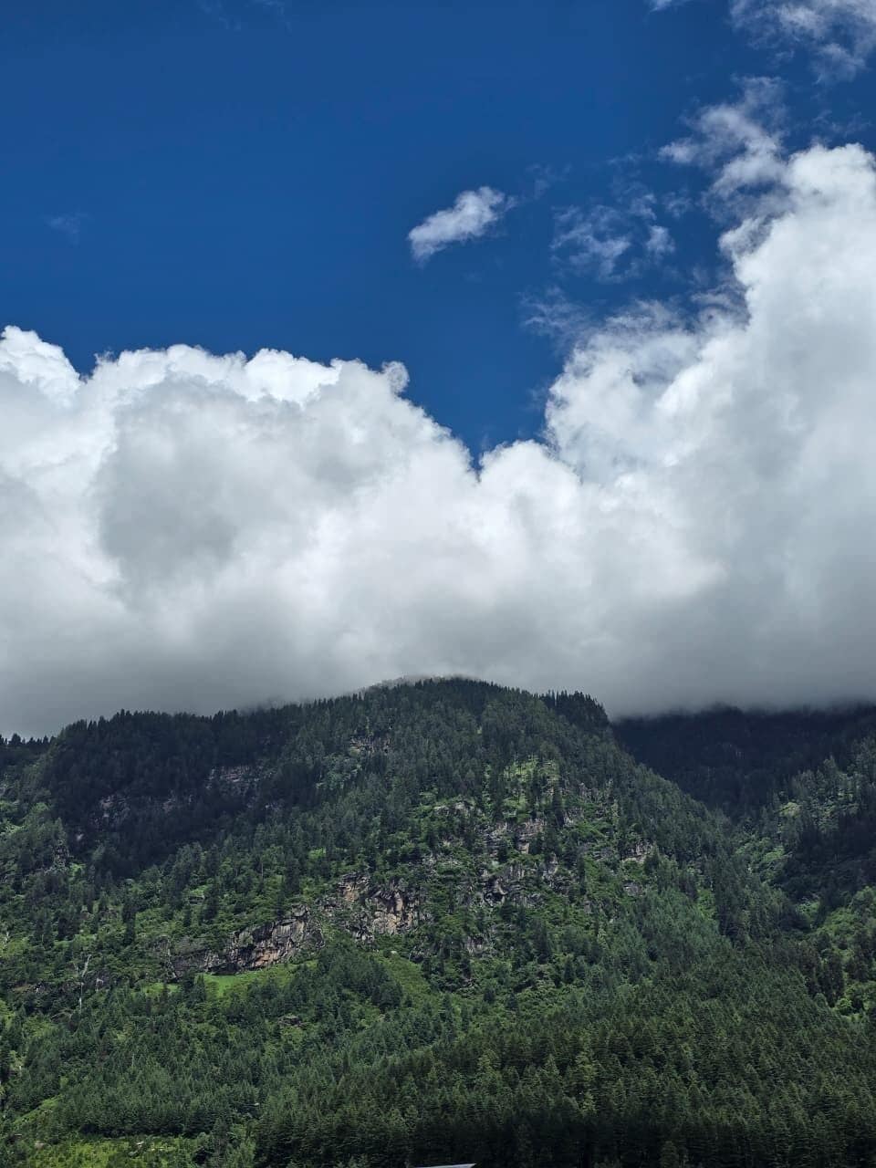 Un paisaje montañoso con densa vegetación y cielo despejado.