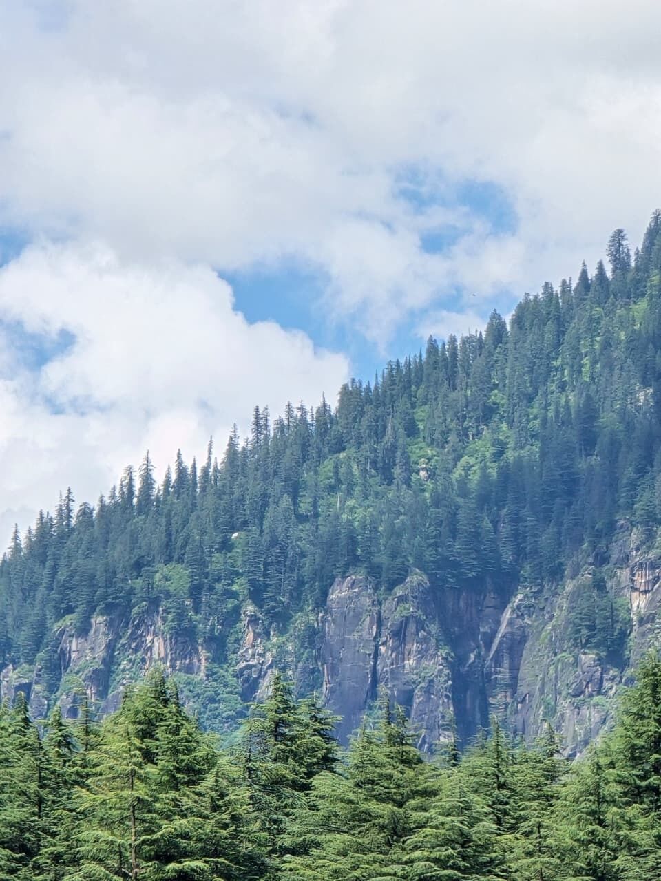 A mountainous landscape with dense forest and rocky cliffs.