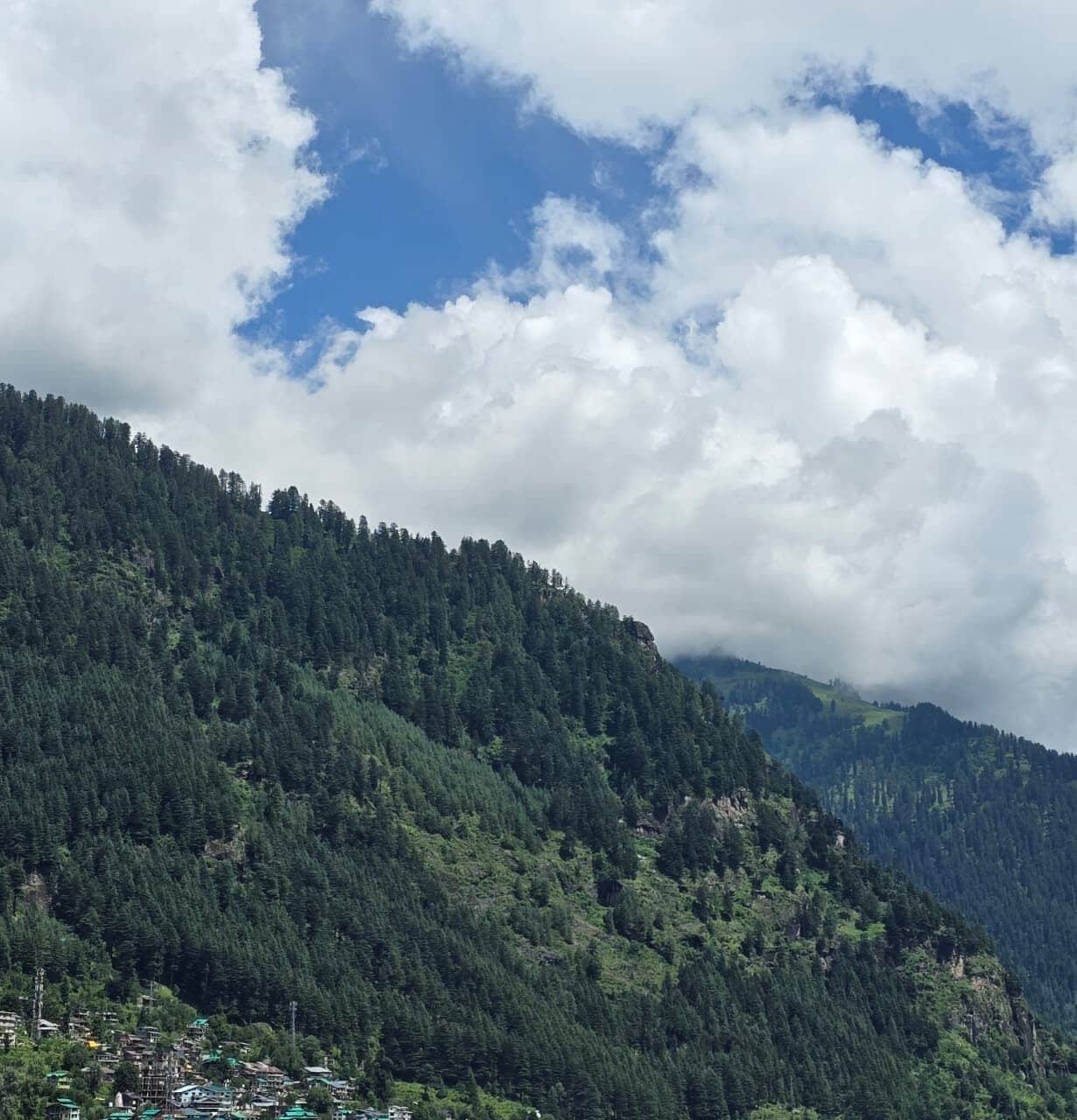 A mountainous landscape with dense forest coverage and a clear sky.