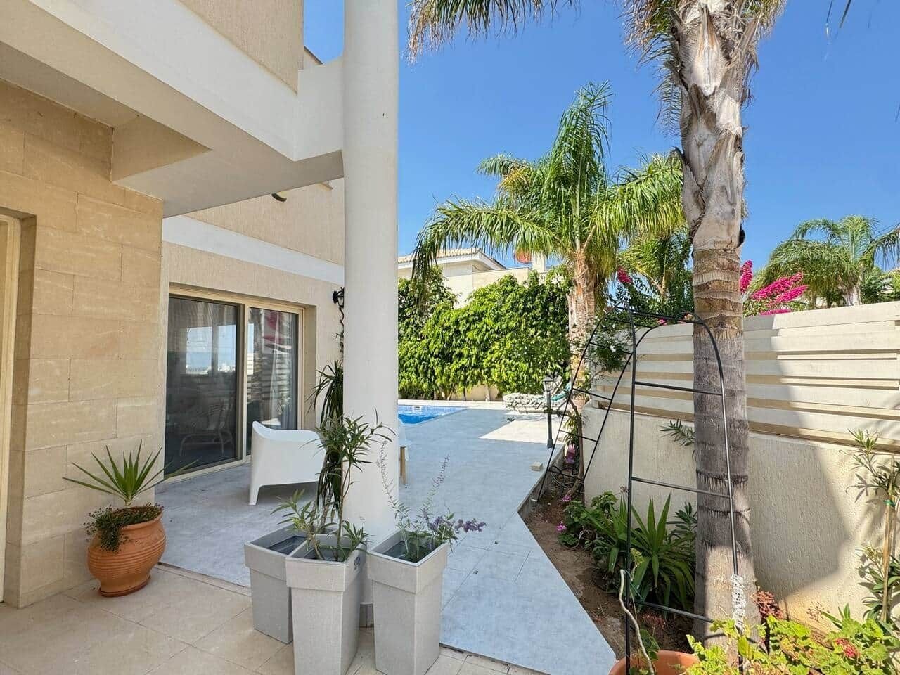 A modern outdoor patio with a pool, potted plants, and a palm tree.