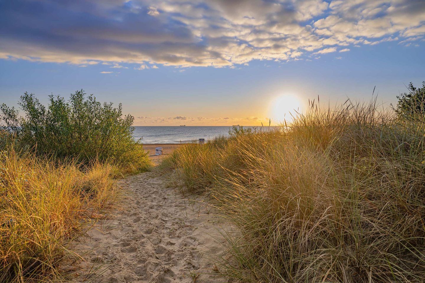 Strand