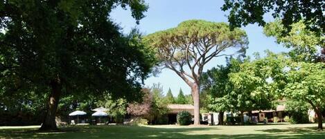 Jardines del alojamiento