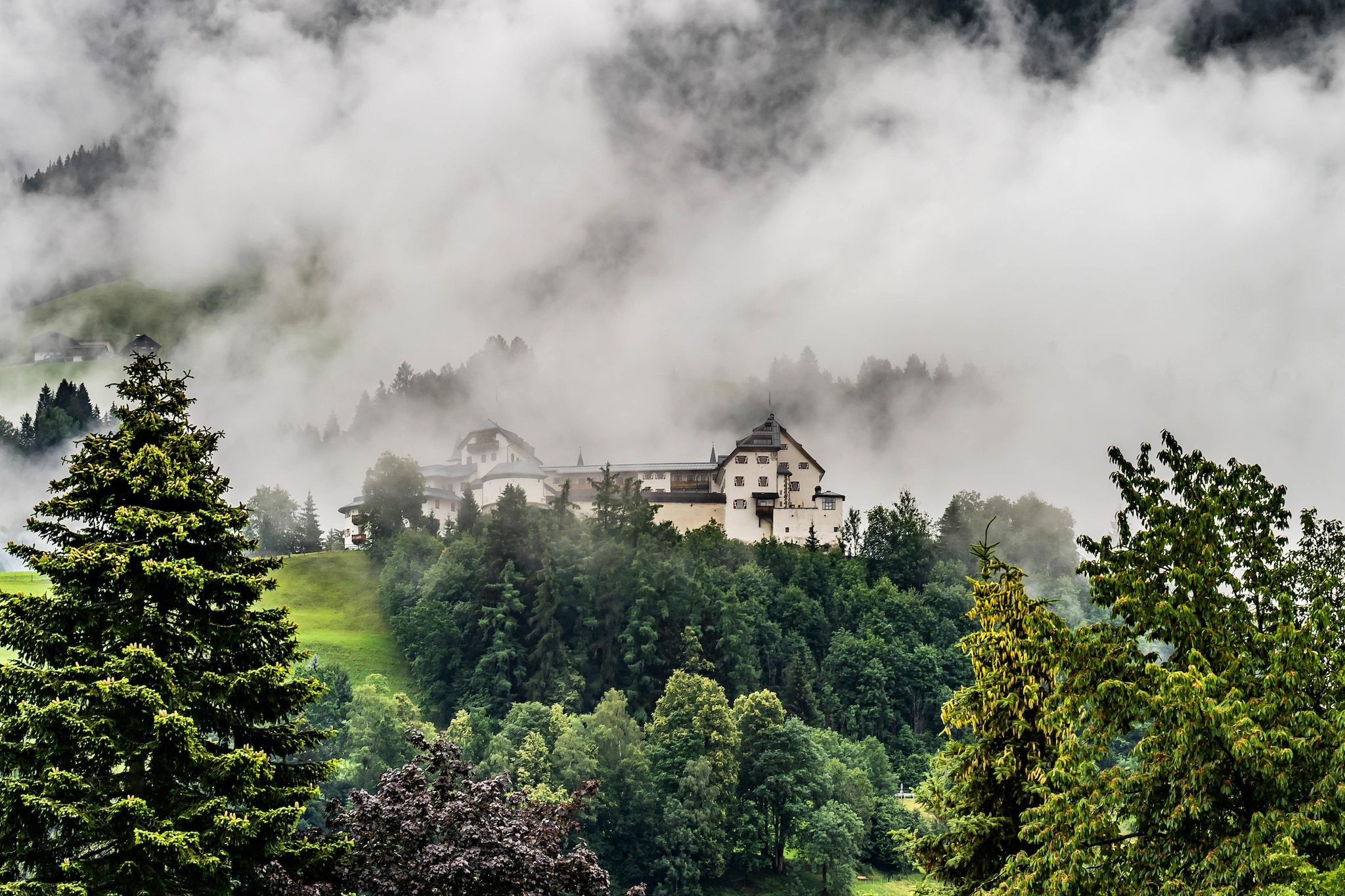 A castle surrounded by dense forest and mist.