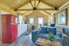 TV, fireplace, books