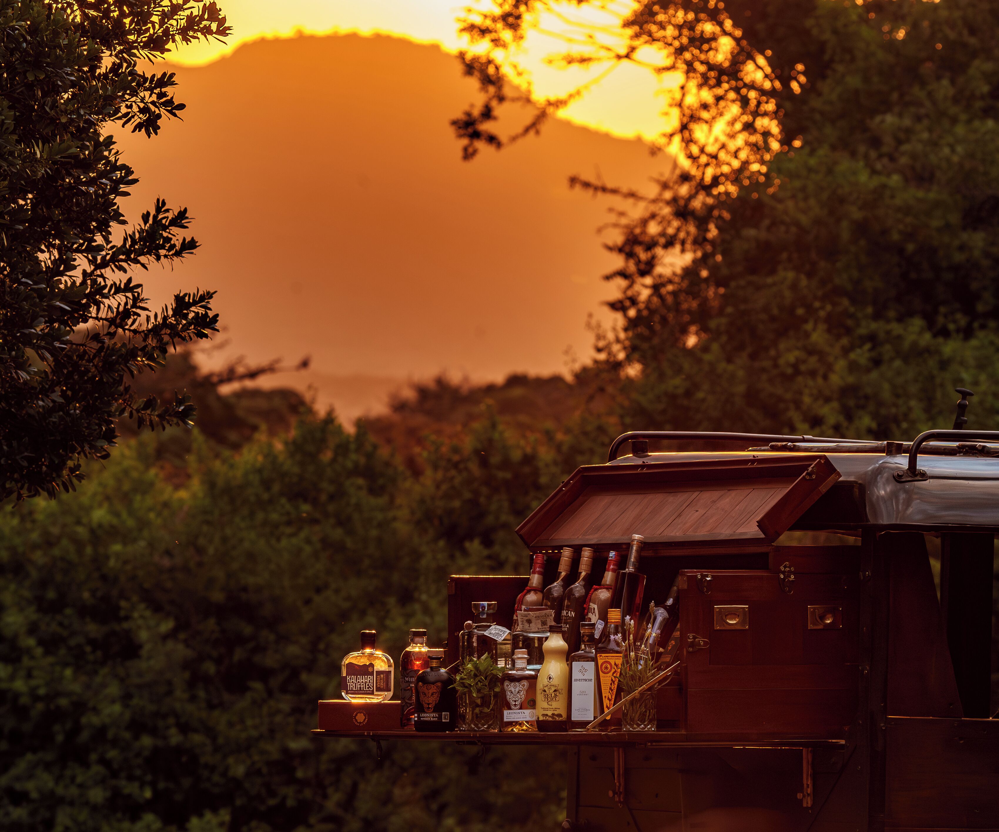 A wooden cabinet with bottles and a cash register, set against a sunset with trees and a mountain in the background.
