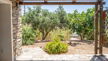 A stone-paved patio with a pergola overhead, surrounded by various trees and shrubs.