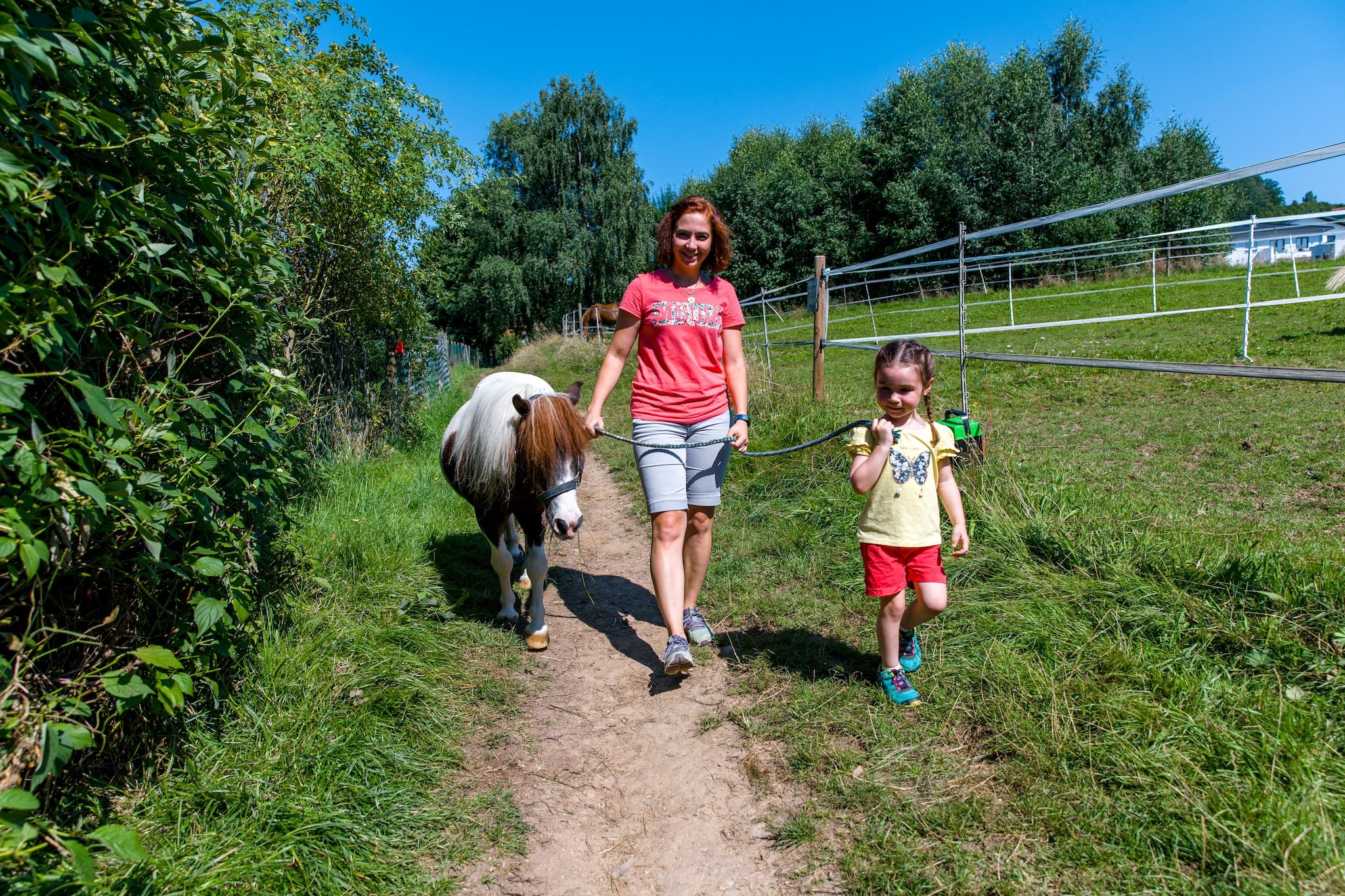 A dirt path with a pony and two people walking.