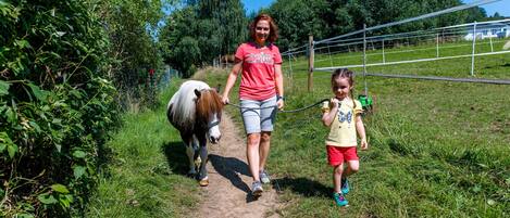 A dirt path with a pony and two people walking.