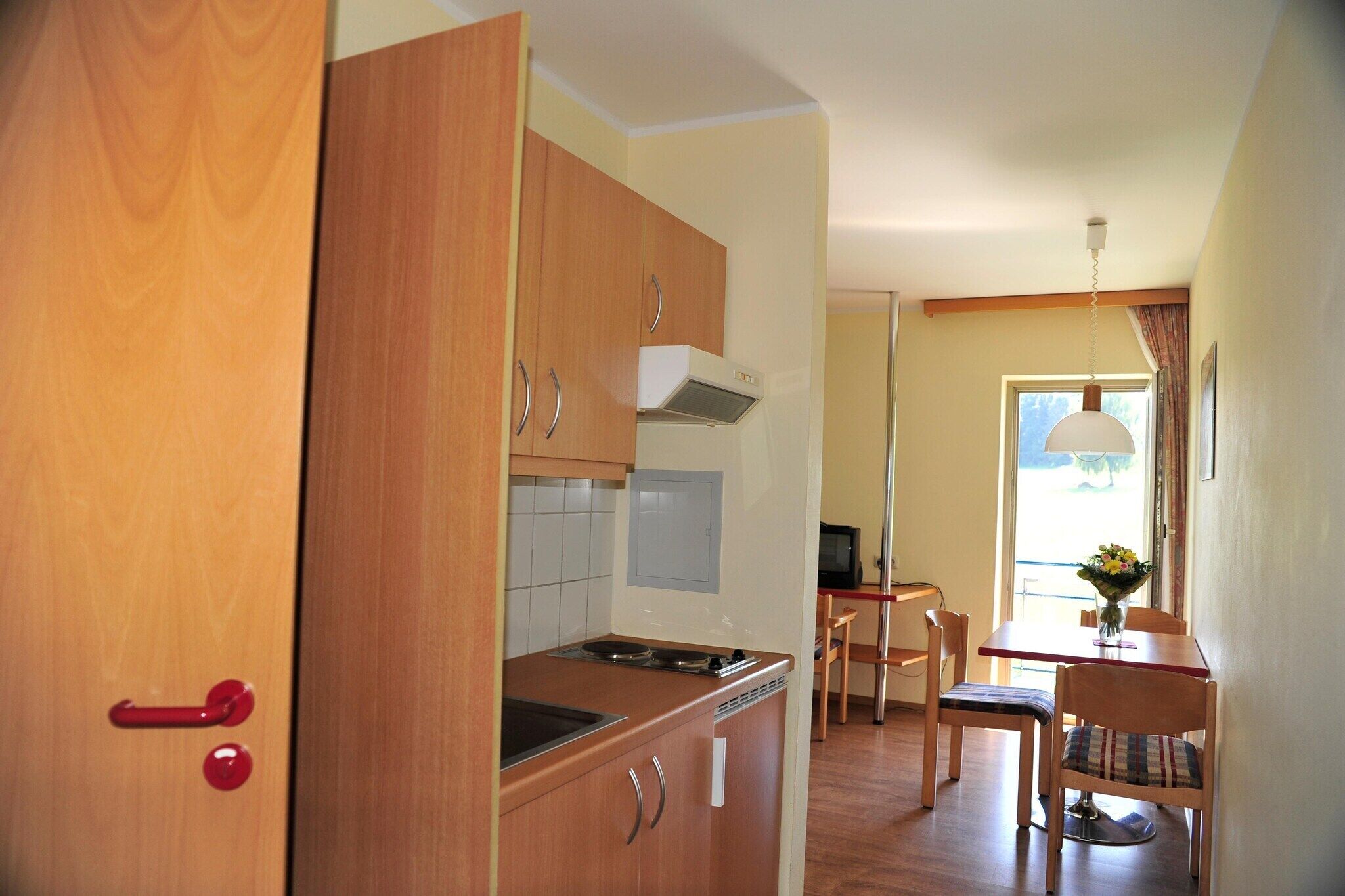 Fridge, stovetop, dining table