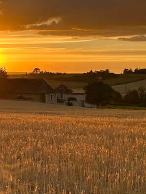 Paisaje rural con un campo de cultivo, un edificio pequeño y una puesta de sol al fondo.