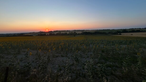 A field of sunflowers with a sunset in the background. - Holiday Home “Le Pigeonnier Des Châpeaudieres” with Private Terrace, Wi-Fi, Air Conditioning (Châtellerault)
