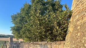 A hot tub with a wooden exterior, surrounded by a stone wall and a grassy lawn. - Holiday Home “Le Pigeonnier Des Châpeaudieres” with Private Terrace, Wi-Fi, Air Conditioning (Châtellerault)