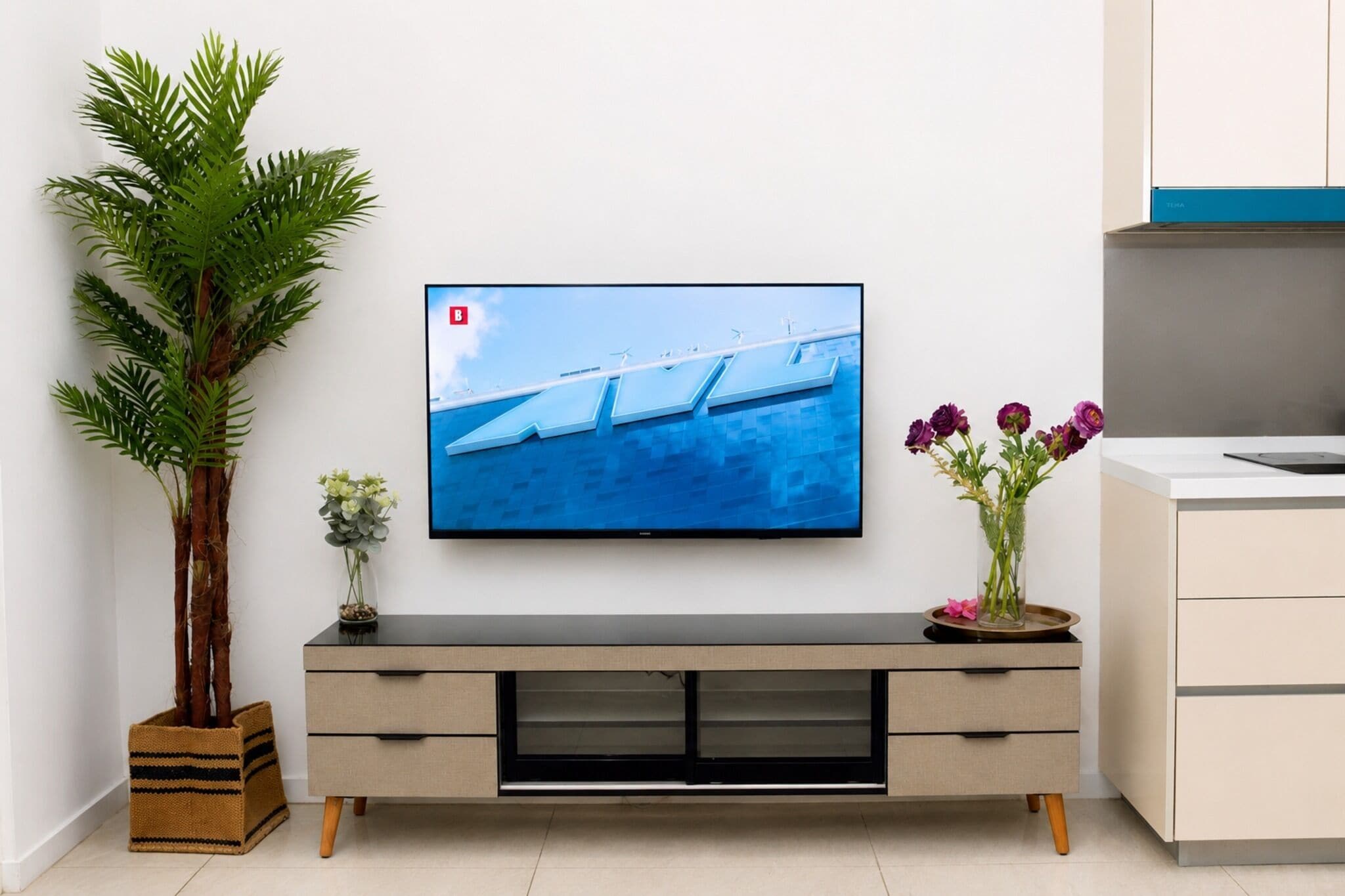 Una sala de estar moderna con un televisor de pantalla plana montado en la pared, un mueble bajo y una planta en maceta a la izquierda.