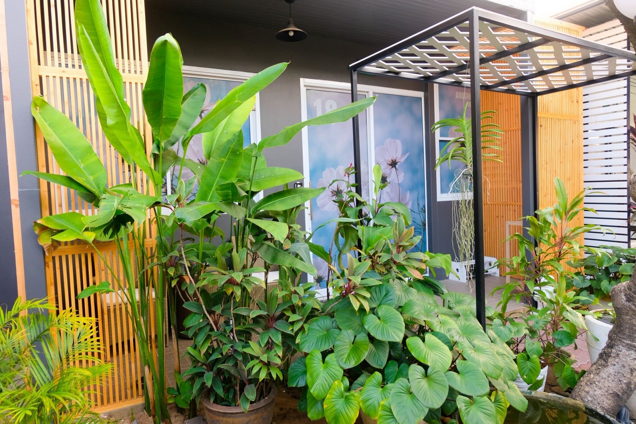 Un jardín con diferentes plantas en macetas y una valla de madera.