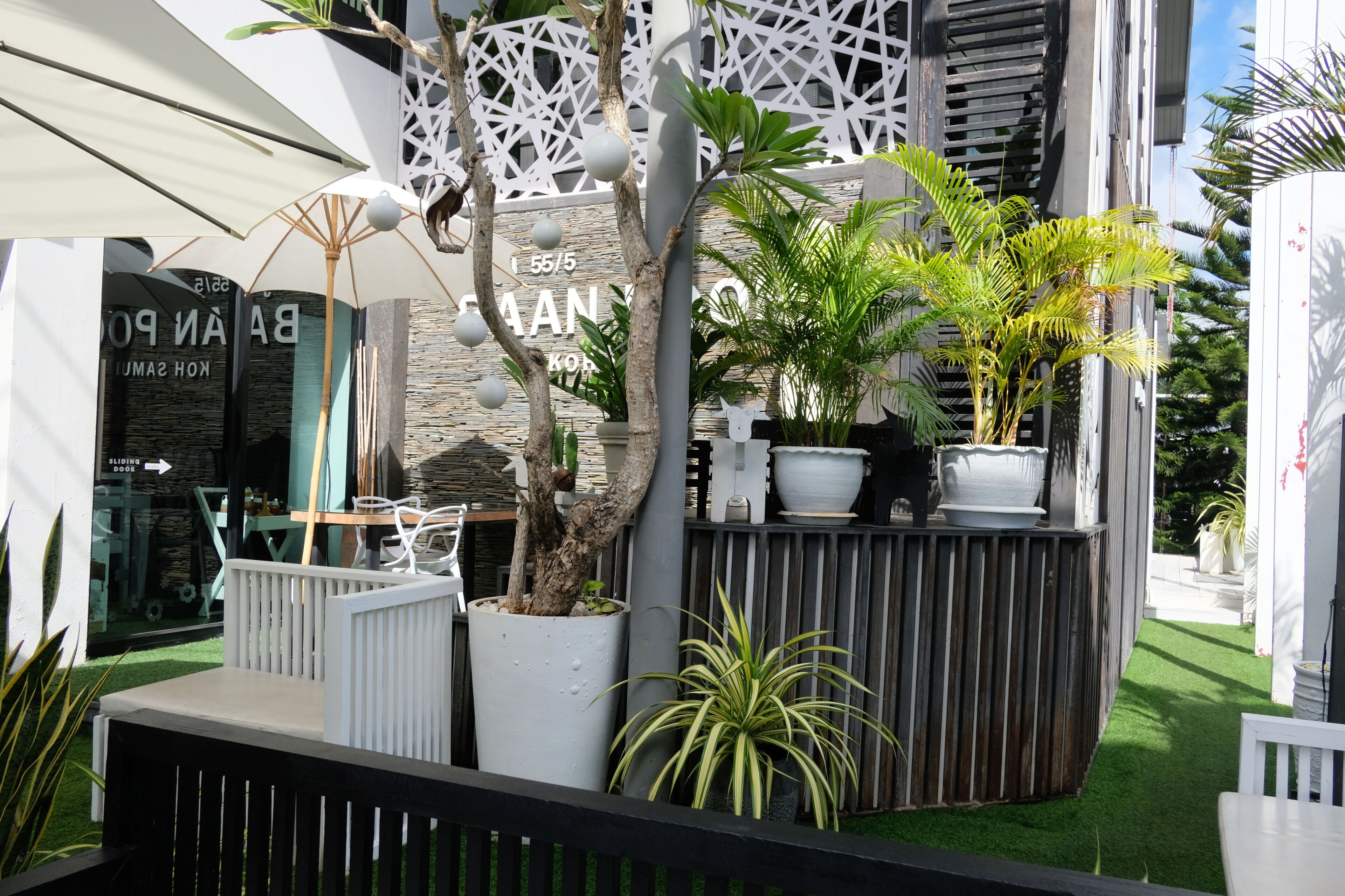 A modern building with a white facade, a sign indicating room number 55/5, and a variety of potted plants.