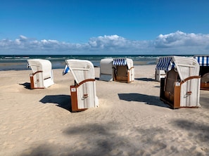 Beach chairs with numbers, a sandy beach, and the ocean in the background. - "Poeler Küstenkoje" Vacation Rental for 4 People (Insel Poel / OT Kirchdorf)