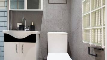Hair dryer, towels, soap, toilet paper