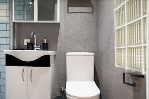 Secadora de cabello, toallas, jabón, papel de baño