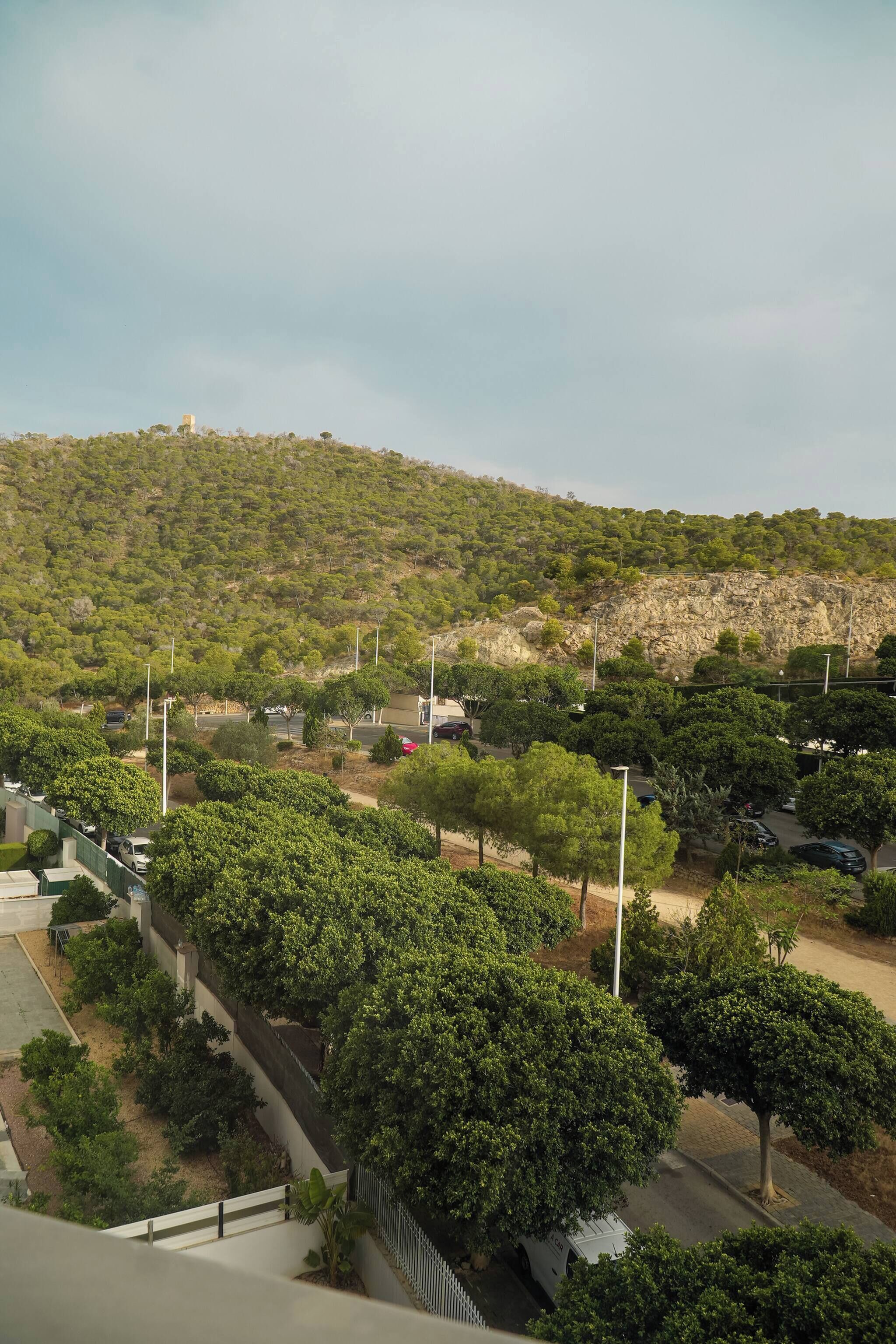 Zona residencial con una colina, árboles y coches aparcados.