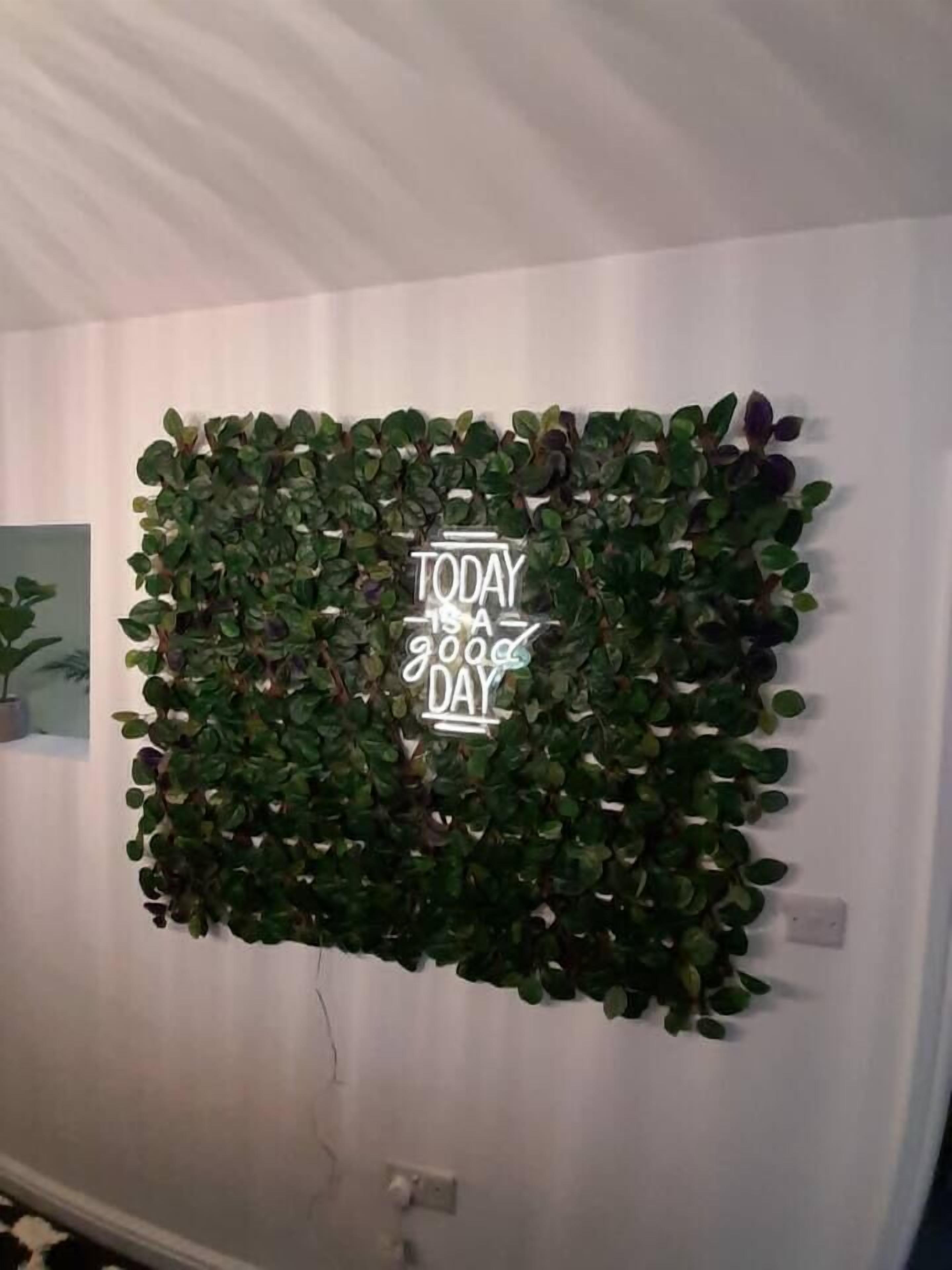 A wall with a vertical garden and a neon sign that reads 'TODAY is 900% DAY.'
