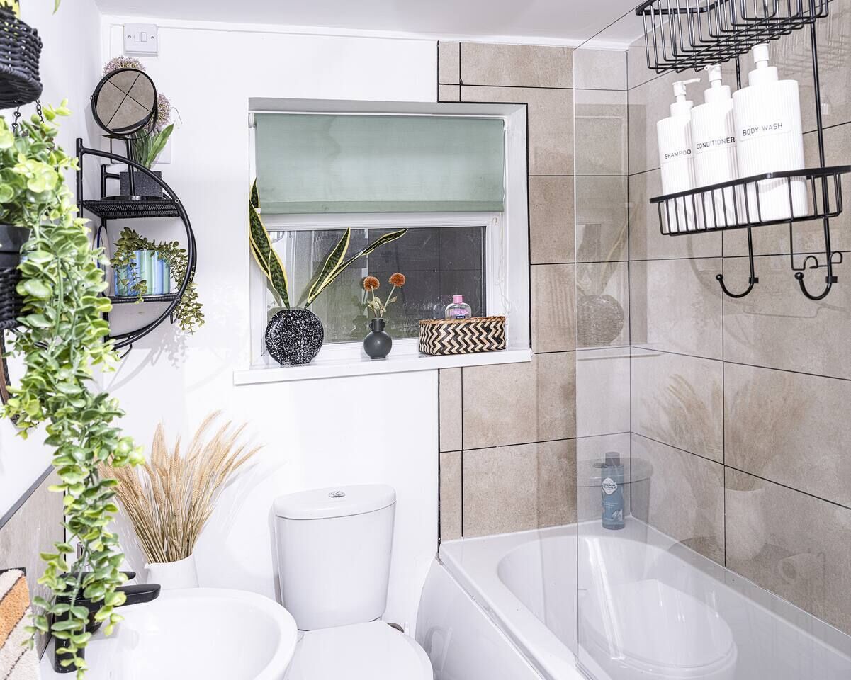 Hair dryer, soap, shampoo